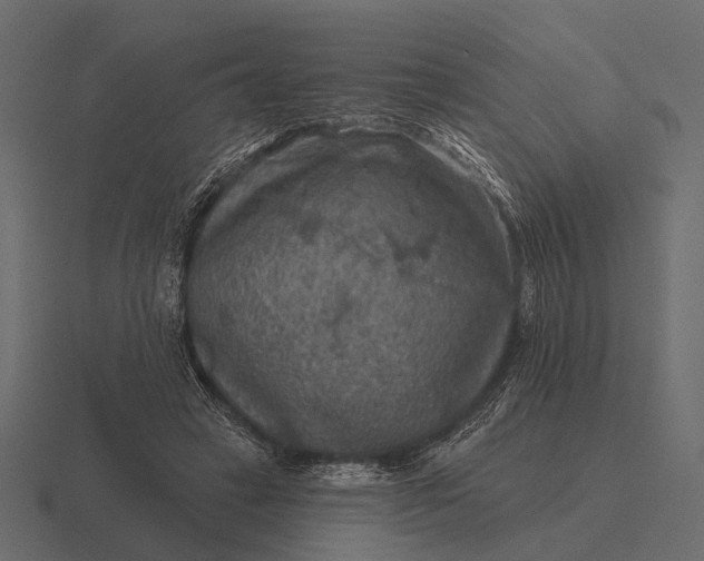 X0000116550449200912241558