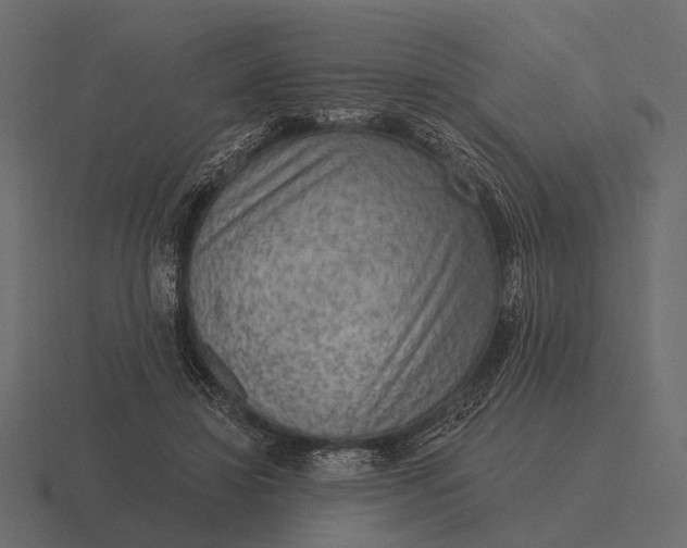 X0000116550452200912241558