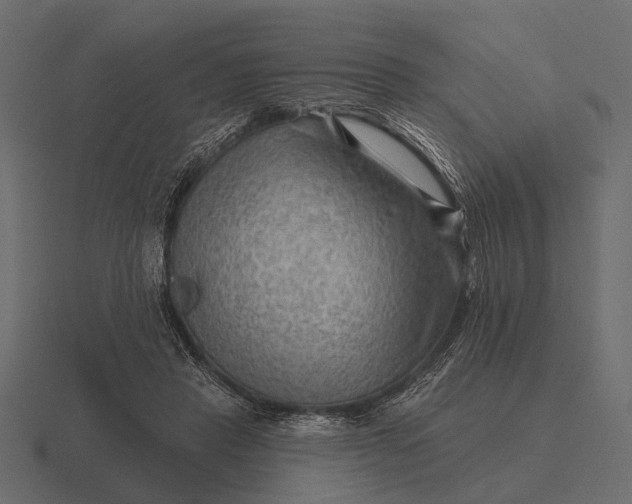 X0000116550453200912241558