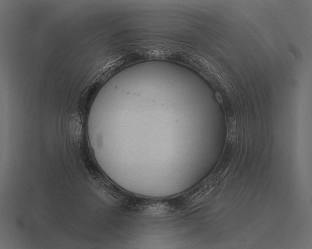 X0000116550456200912241558