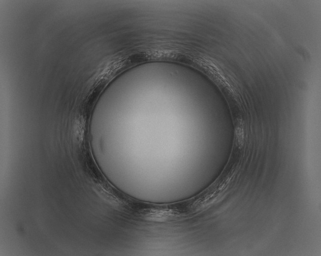 X0000116550458200912241558