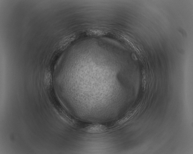 X0000116550459200912241558