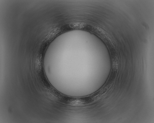 X0000116550460200912241559