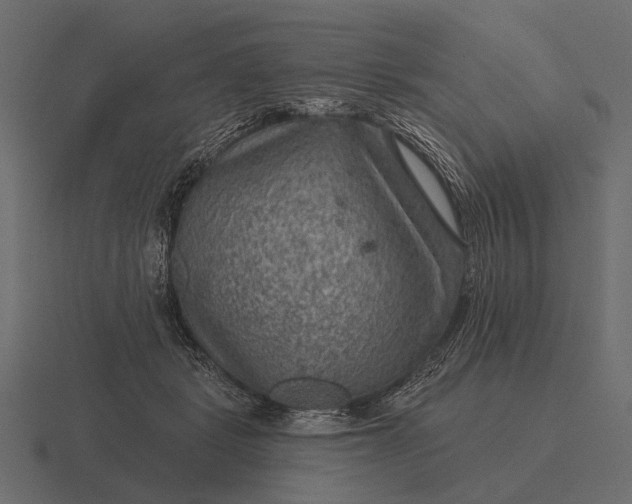 X0000116550461200912241559