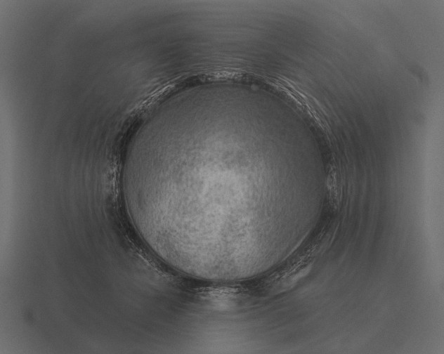 X0000116550462200912241559