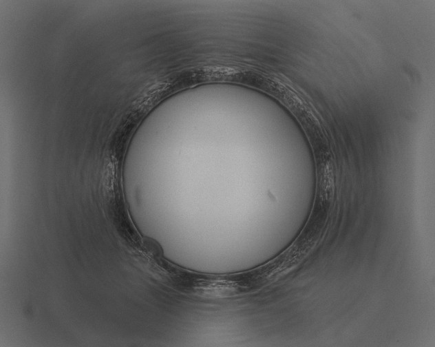 X0000116550463200912241559