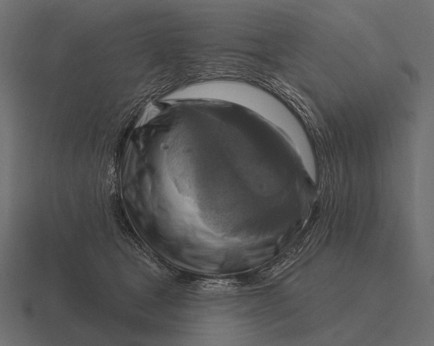 X0000116550465200912241559