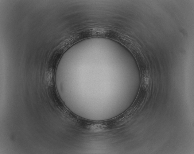 X0000116550468200912241559