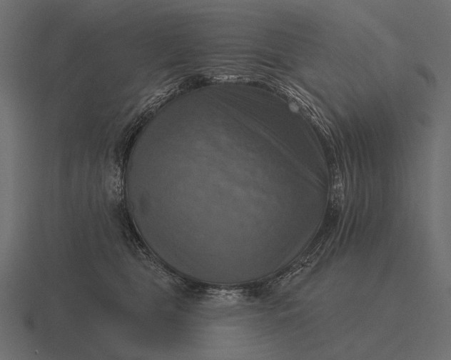 X0000116550469200912241559