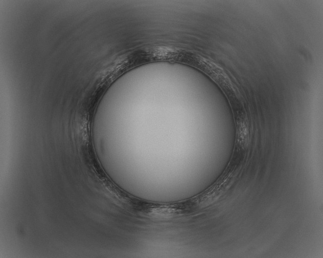 X0000116550470200912241559