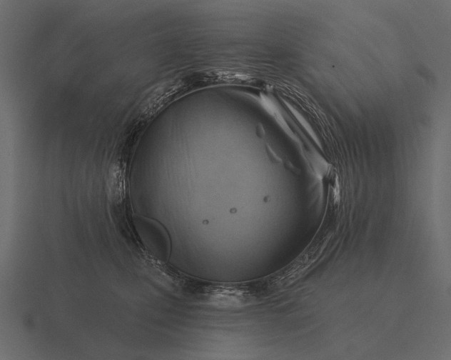 X0000116550471200912241559