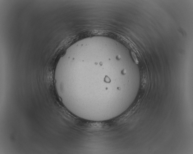 X0000116550473200912241559