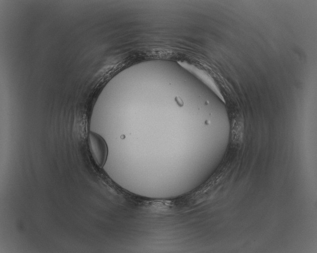 X0000116550474200912241559