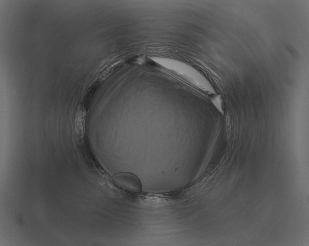 X0000116550475200912241559