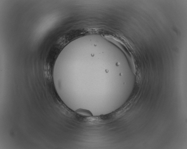 X0000116550477200912241559