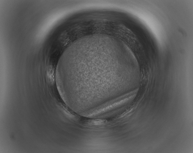 X0000116550479200912241559