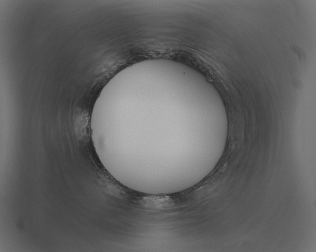 X0000116550480200912241559