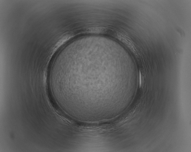 X0000116550483200912241558