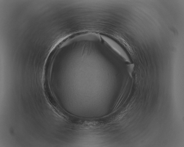 X0000116550484200912241558