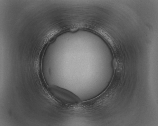 X0000116550485200912241558