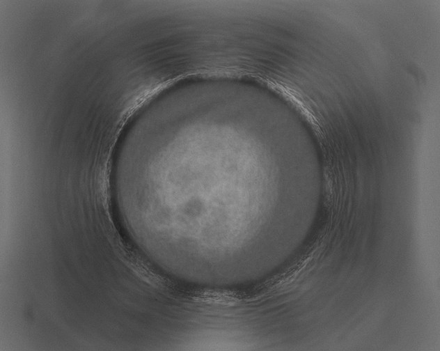 X0000116550487200912241558