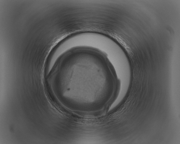 X0000116550488200912241558