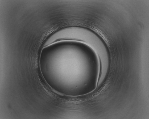 X0000116550489200912241558