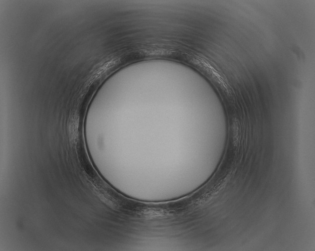 X0000116550490200912241558