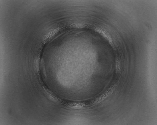 X0000116550493200912241558