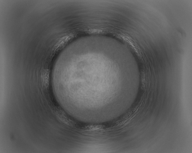 X0000116550495200912241558