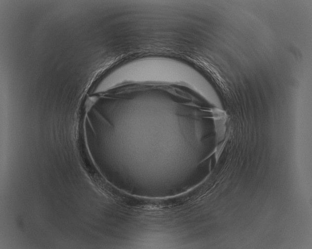 X0000116550496200912241558