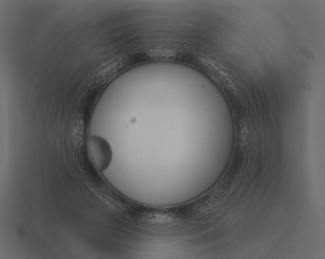 X0000116550498200912241558