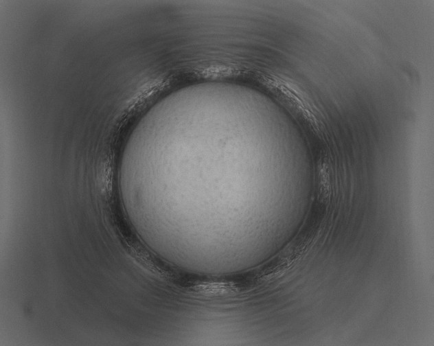 X0000116550499200912241558