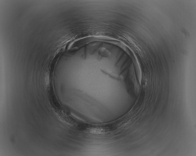 X0000116550500200912241558