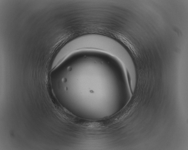 X0000116550501200912241558