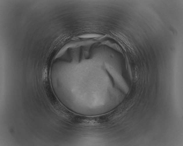 X0000116550502200912241558