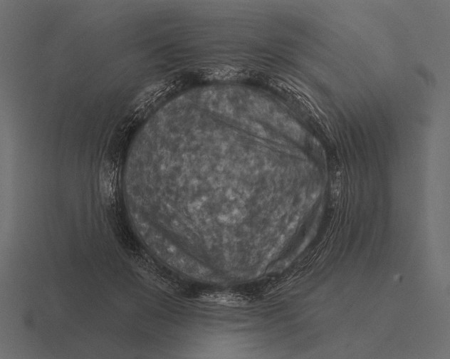 X0000116550503200912241558