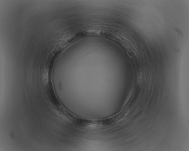 X0000116550504200912241558