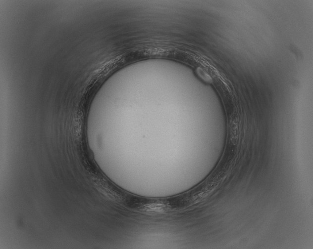 X0000116550505200912241558