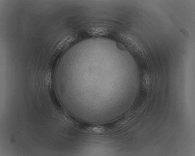 X0000116550506200912241558