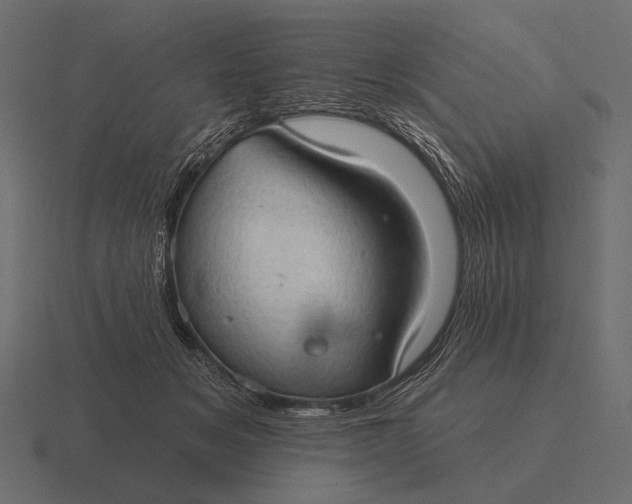 X0000116550509200912241558