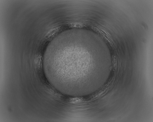 X0000116550511200912241558