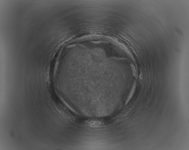 X0000116550512200912241558