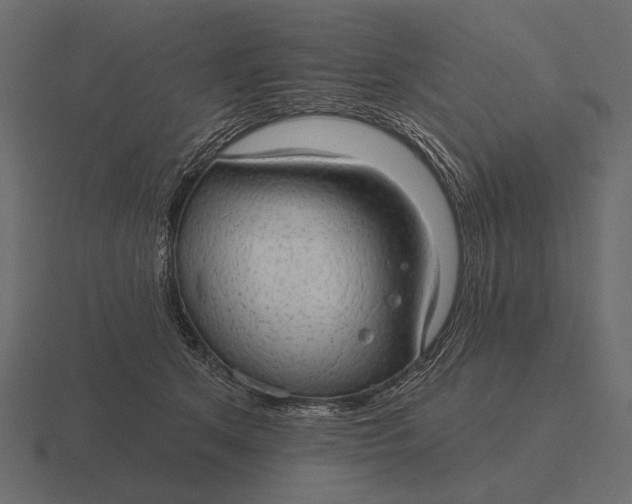 X0000116550513200912241558