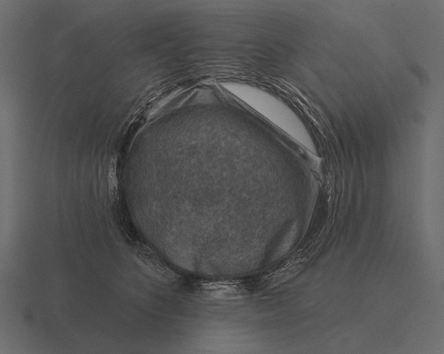 X0000116550516200912241558