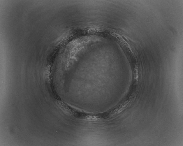 X0000116550519200912241558