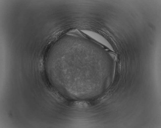 X0000116550520200912241558