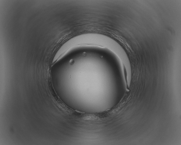 X0000116550521200912241558