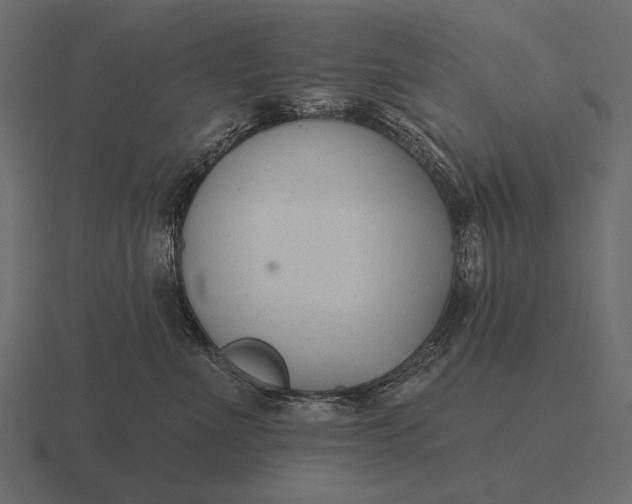 X0000116550523200912241558