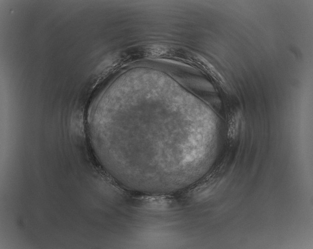 X0000116550524200912241558